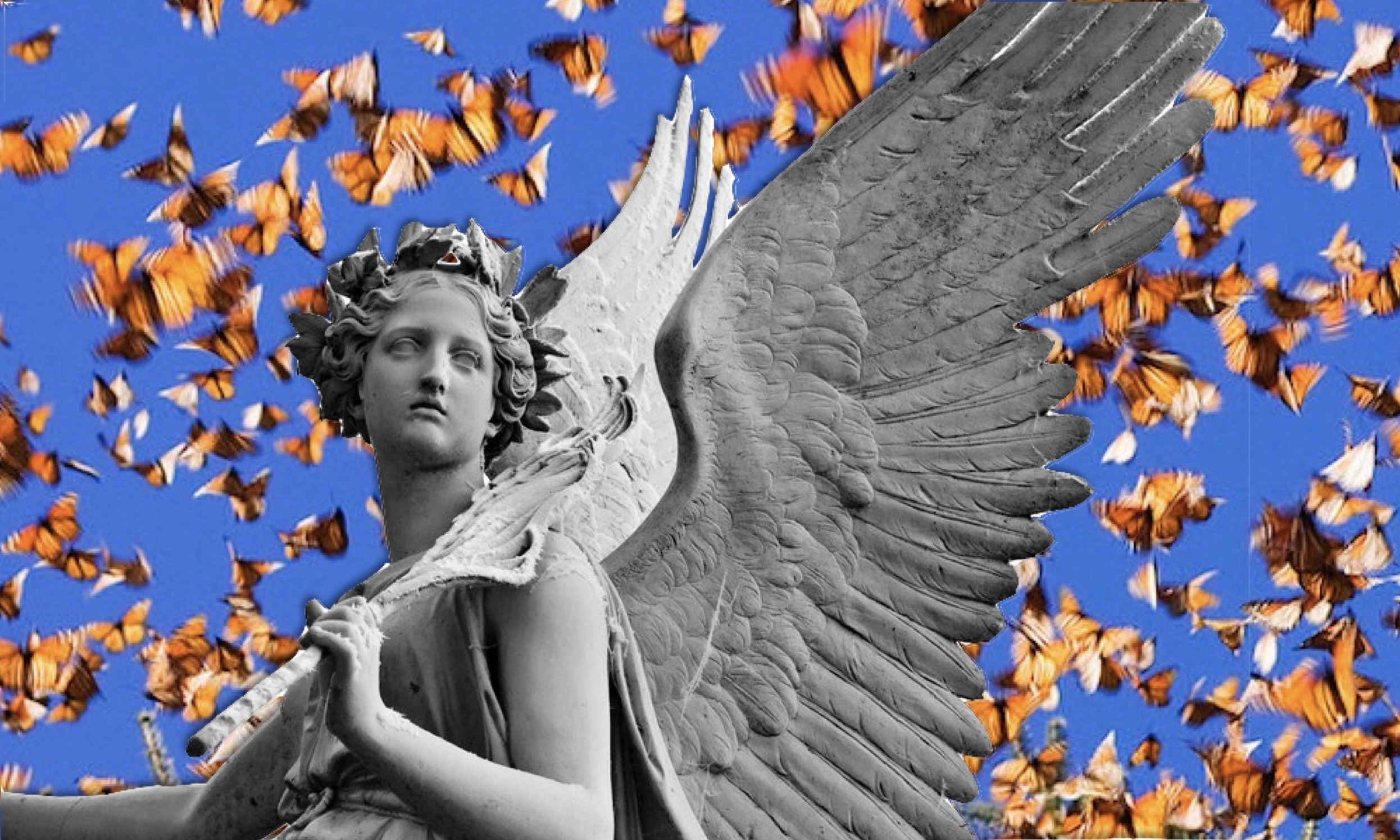 THINGS WITH WINGS 2026